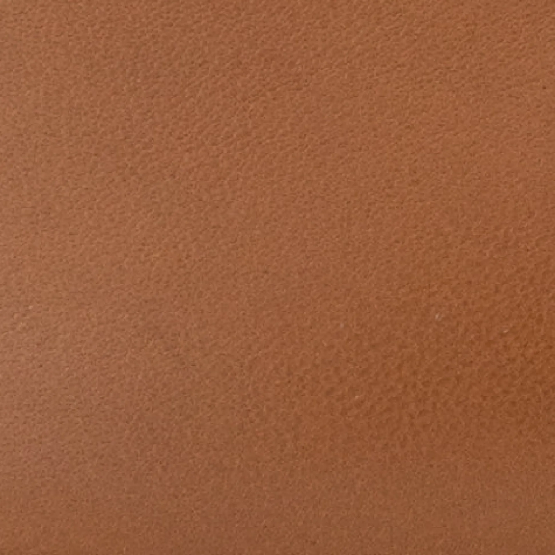 Comfortable Women's Ornamented Flat in Tan Genuine Leather